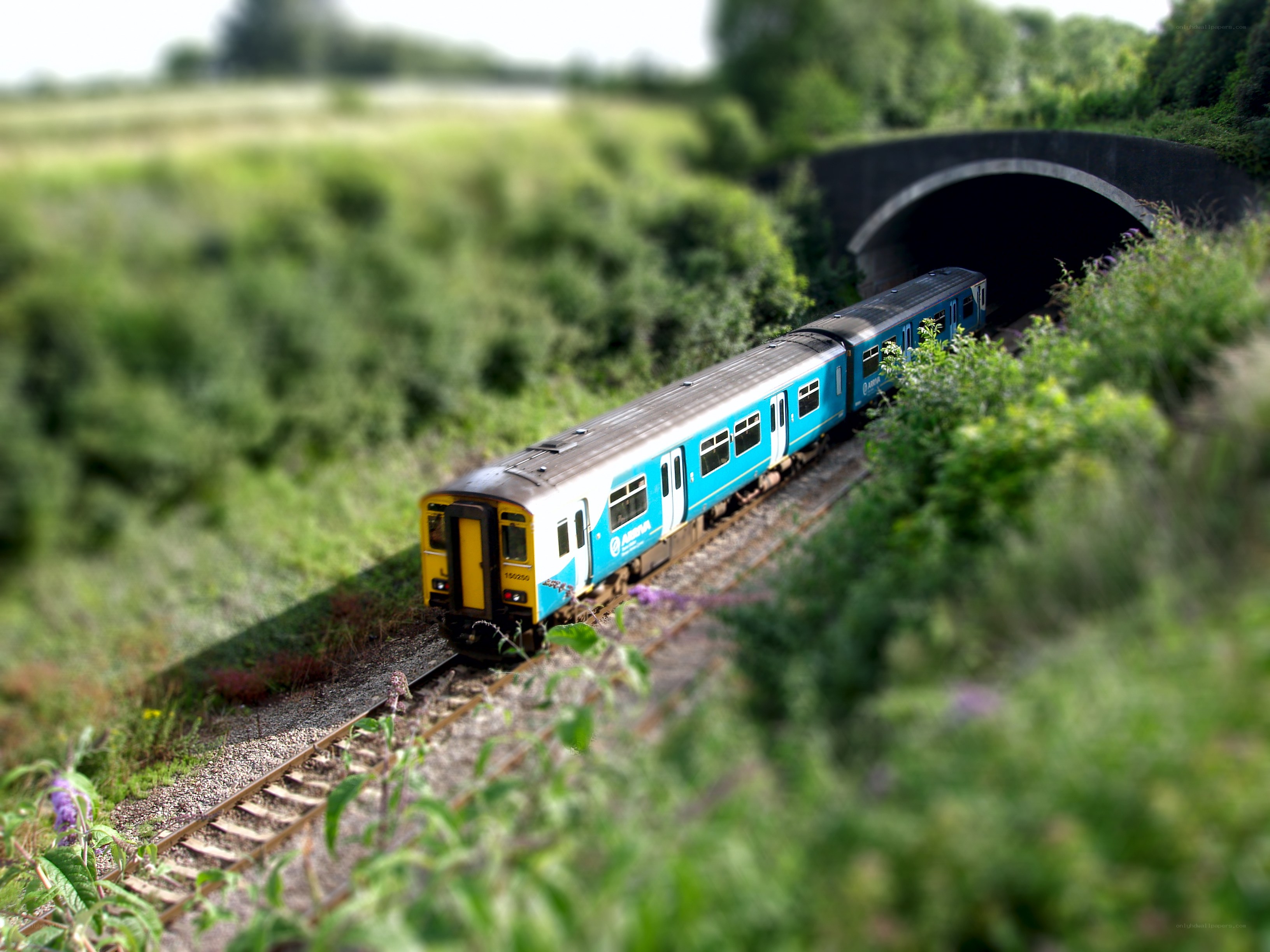 Blue train near tunnel