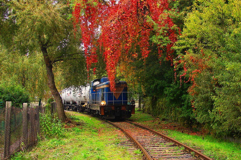 Blue Train on Tracks — Green