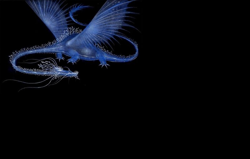 Blue Translucent Dragon