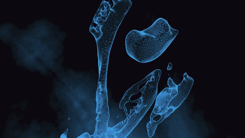 Blue Translucent Organisms