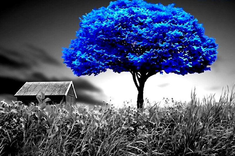 Blue Tree in Field — Dramatic, Digital Art, Barn