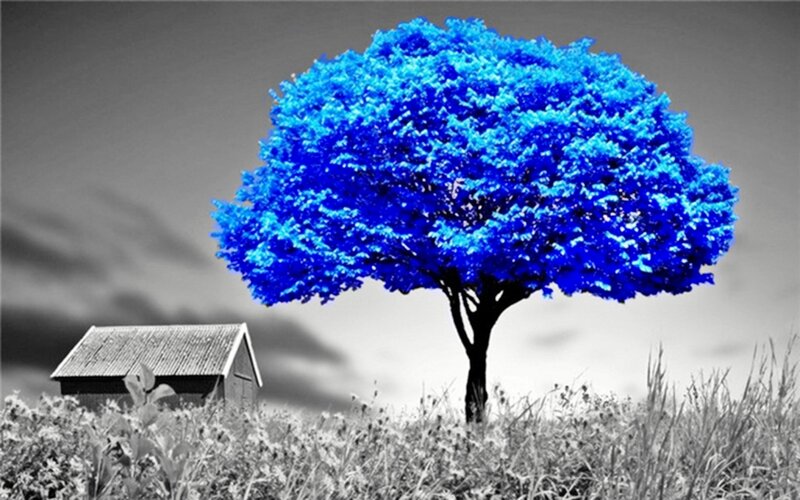 Blue Tree in Field — Dramatic, Digital Art