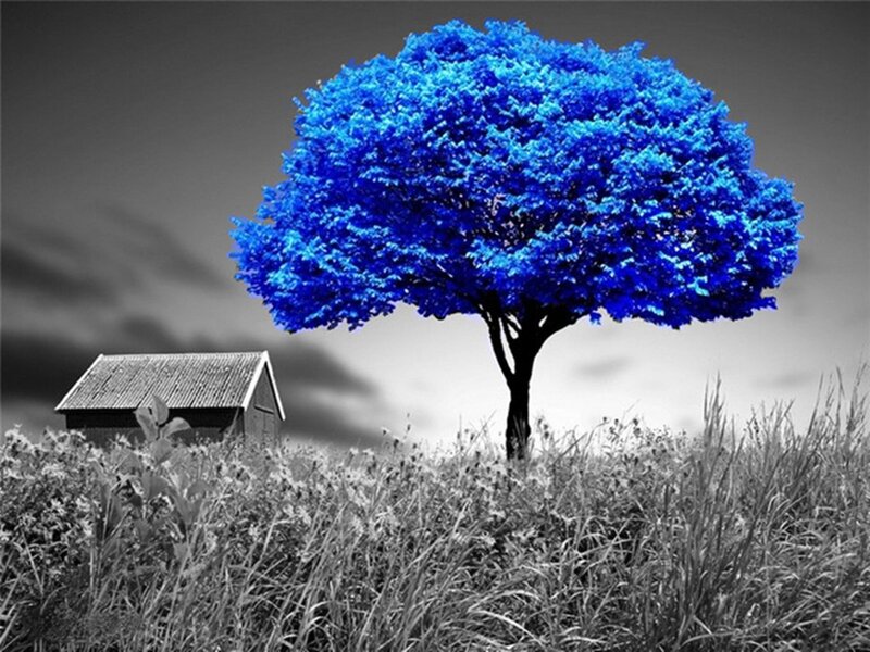 Blue Tree in Field