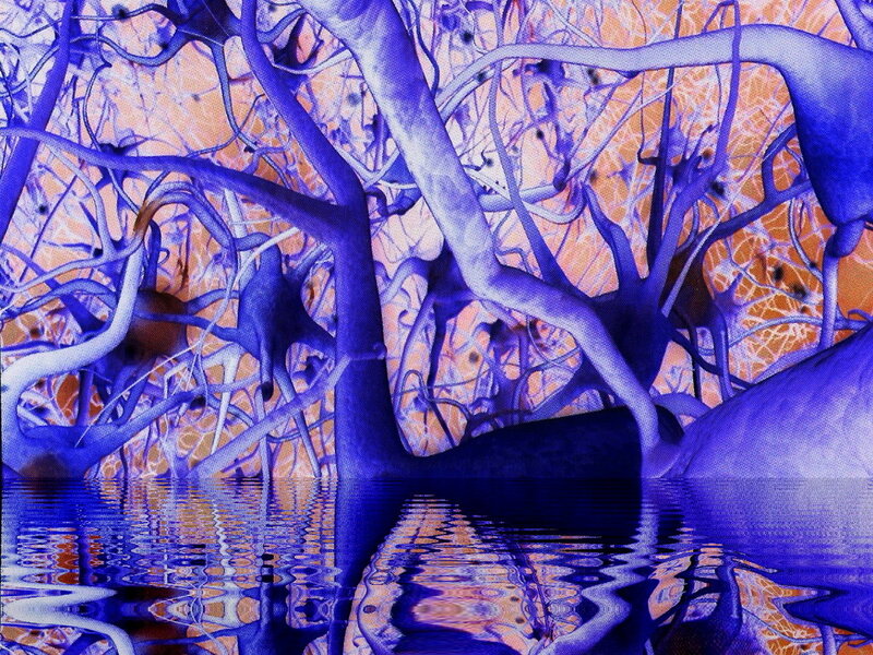 blue tree reflection in water