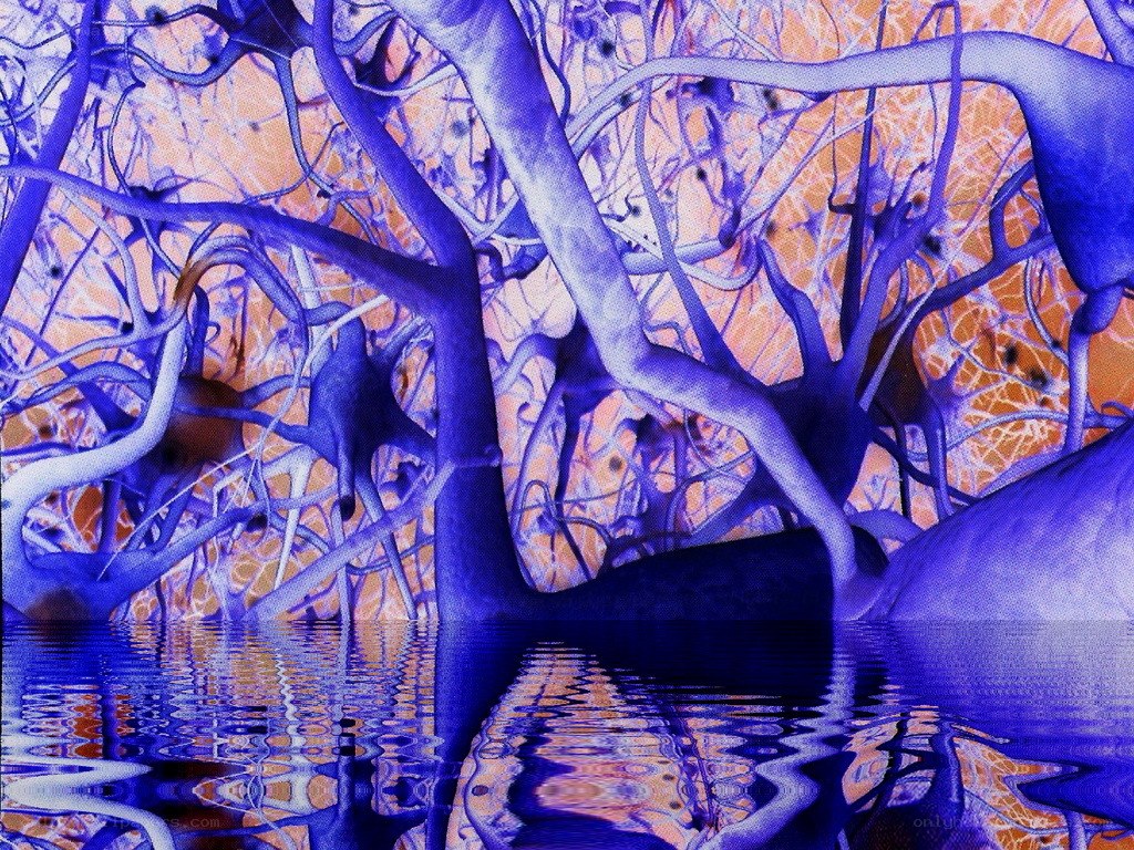 blue tree reflection in water