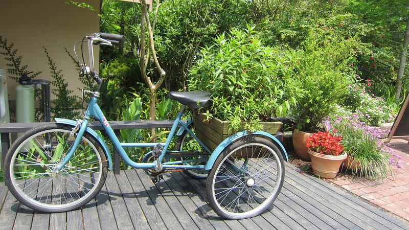 Blue Tricycle with Planter