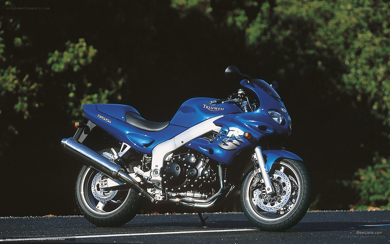 Blue Triumph 955i motorcycle