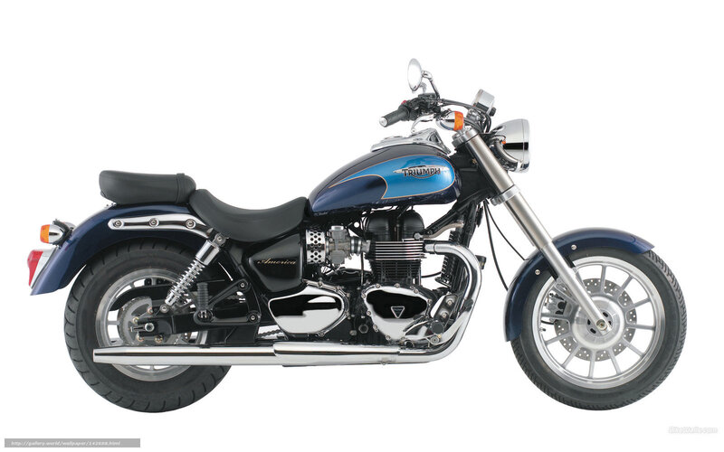 Blue Triumph Motorcycle — Neutral, Photograph, Seat, Engine