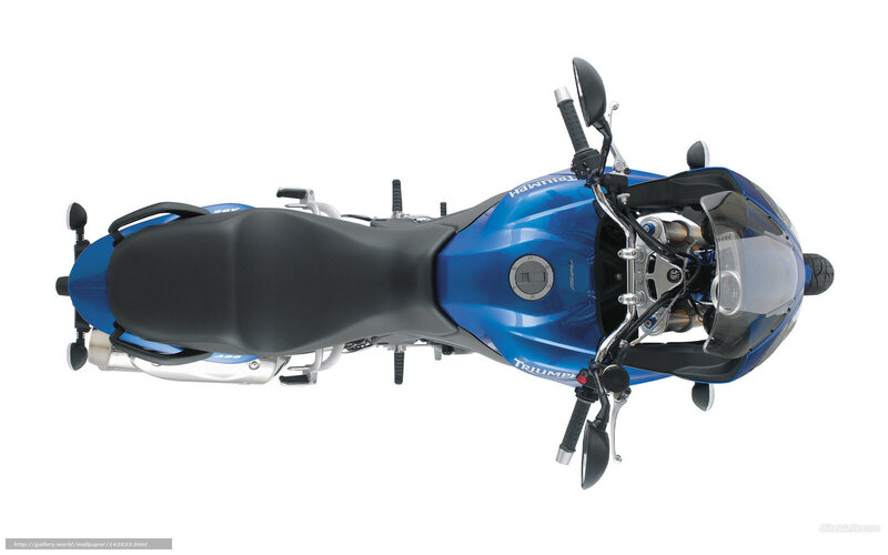 Blue Triumph Motorcycle — Neutral, Photograph, Seat, Handlebars