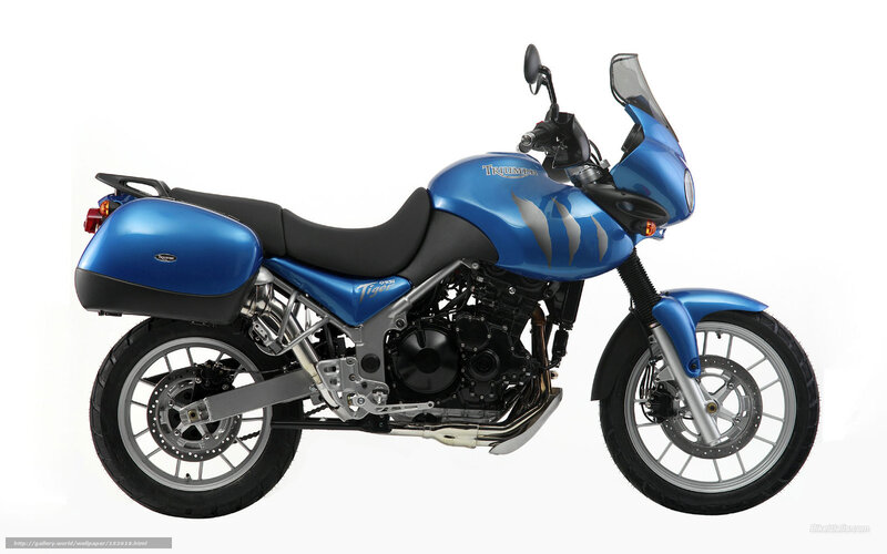 Blue Triumph Tiger Motorcycle — Neutral, Photograph