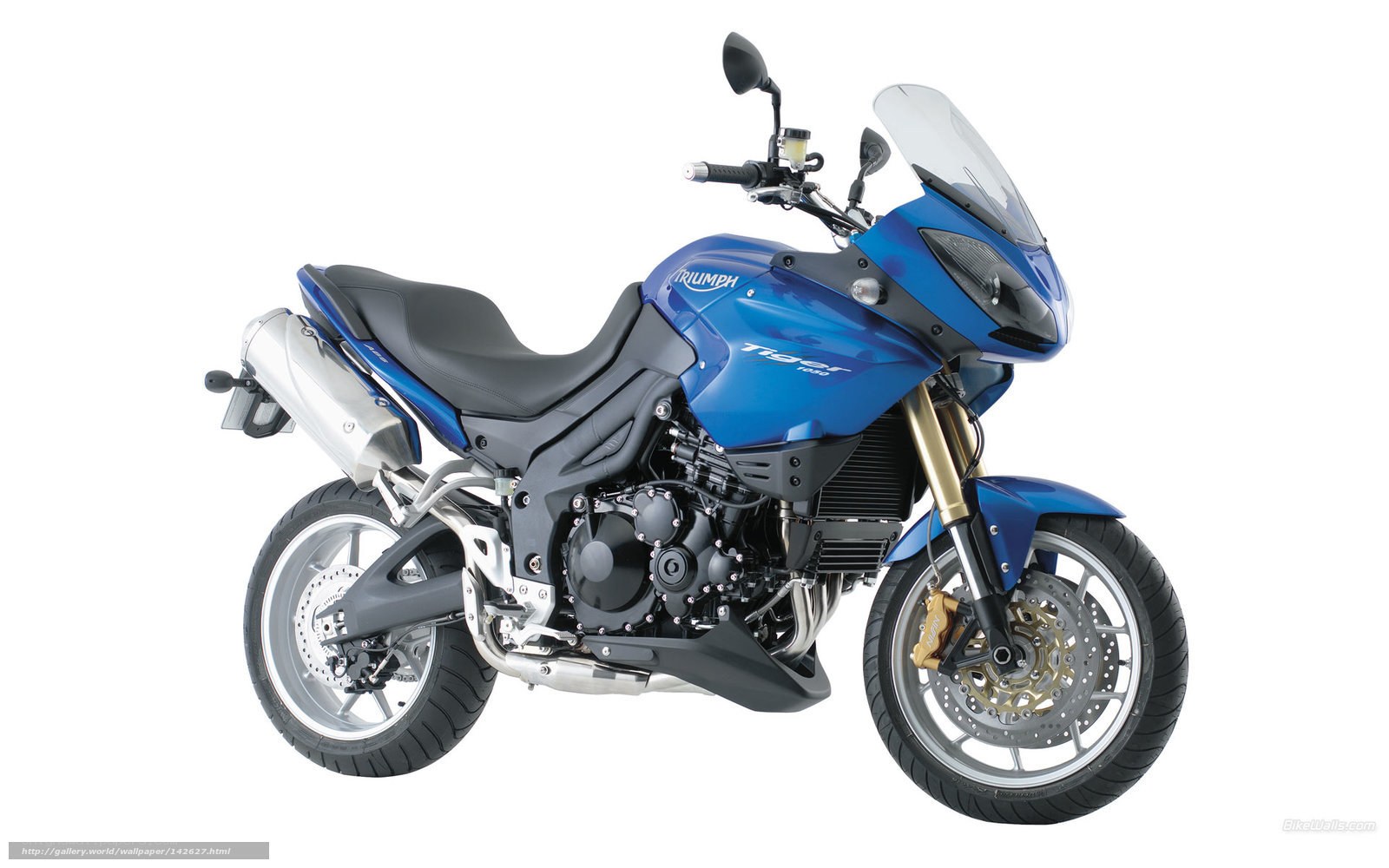 blue triumph tiger motorcycle