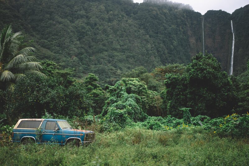 Blue Truck in Jungle