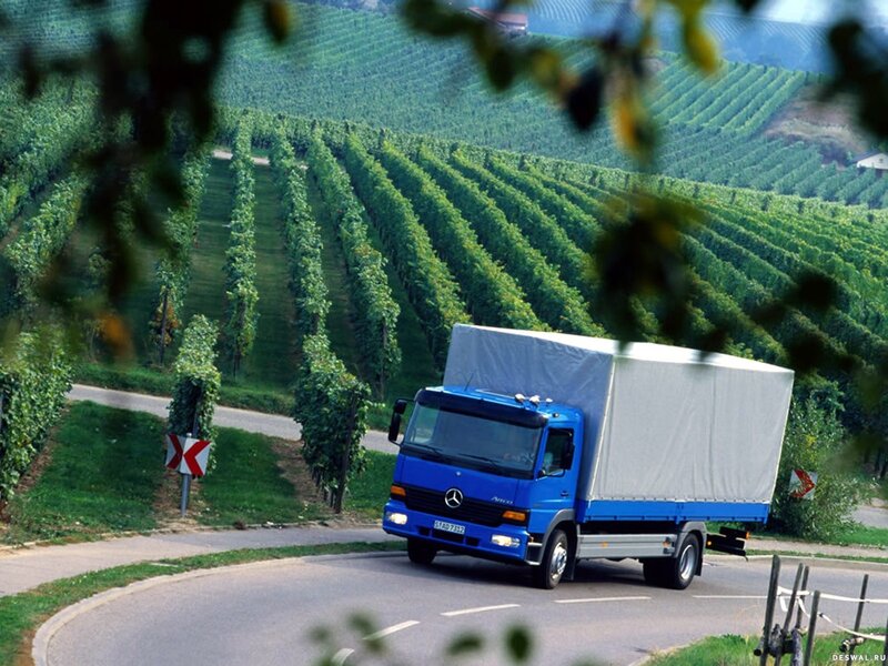 Blue truck on vineyard road