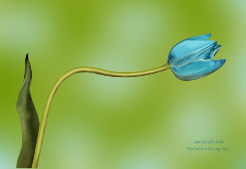Blue Tulip Flower — Green