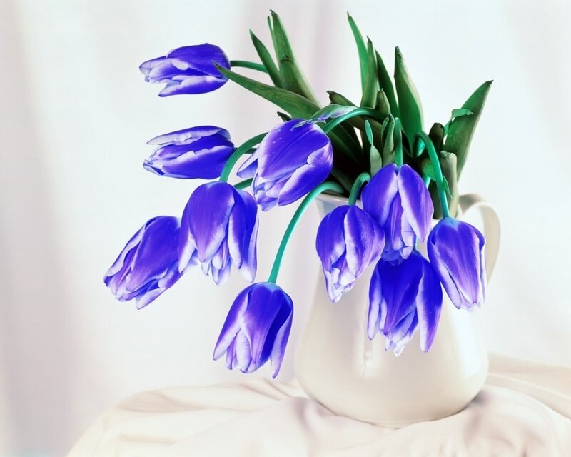 Blue Tulips in a Vase