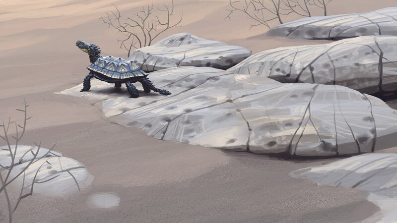 Blue Turtle in Desert