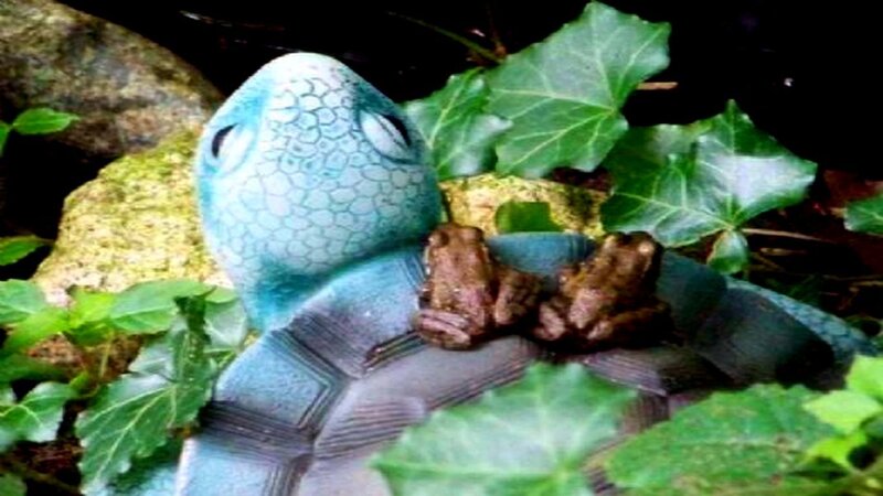 Blue Turtle Statue