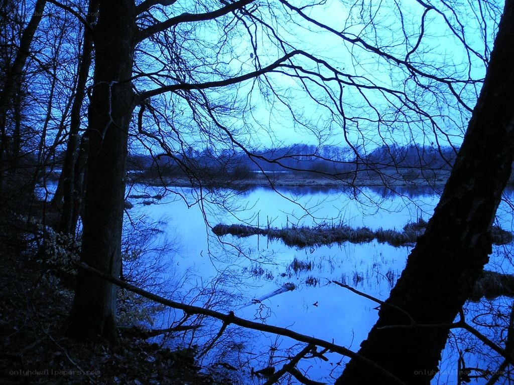 Blue twilight by the lake