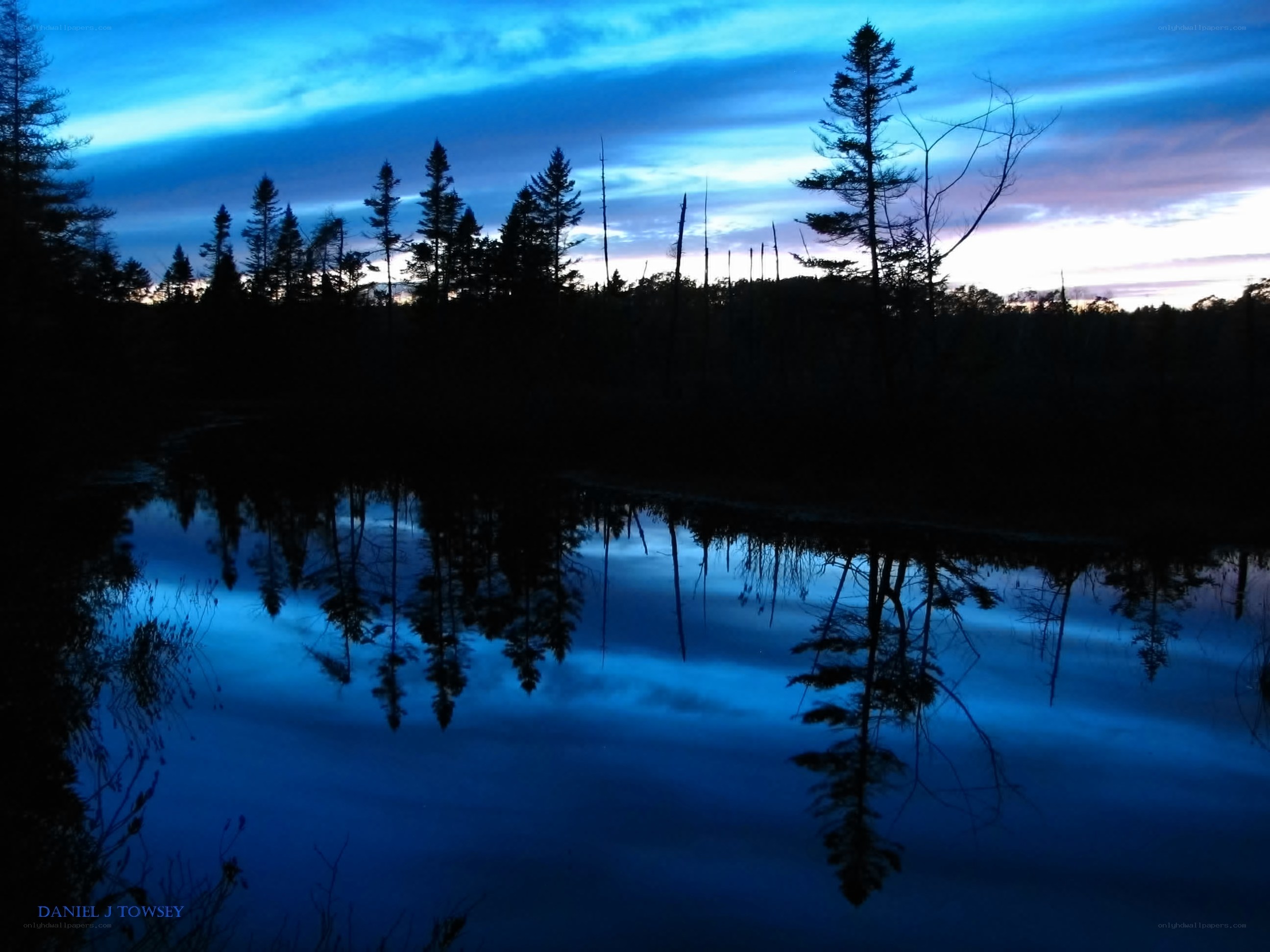Blue twilight forest lake