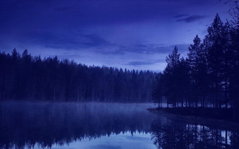 Blue twilight forest lake