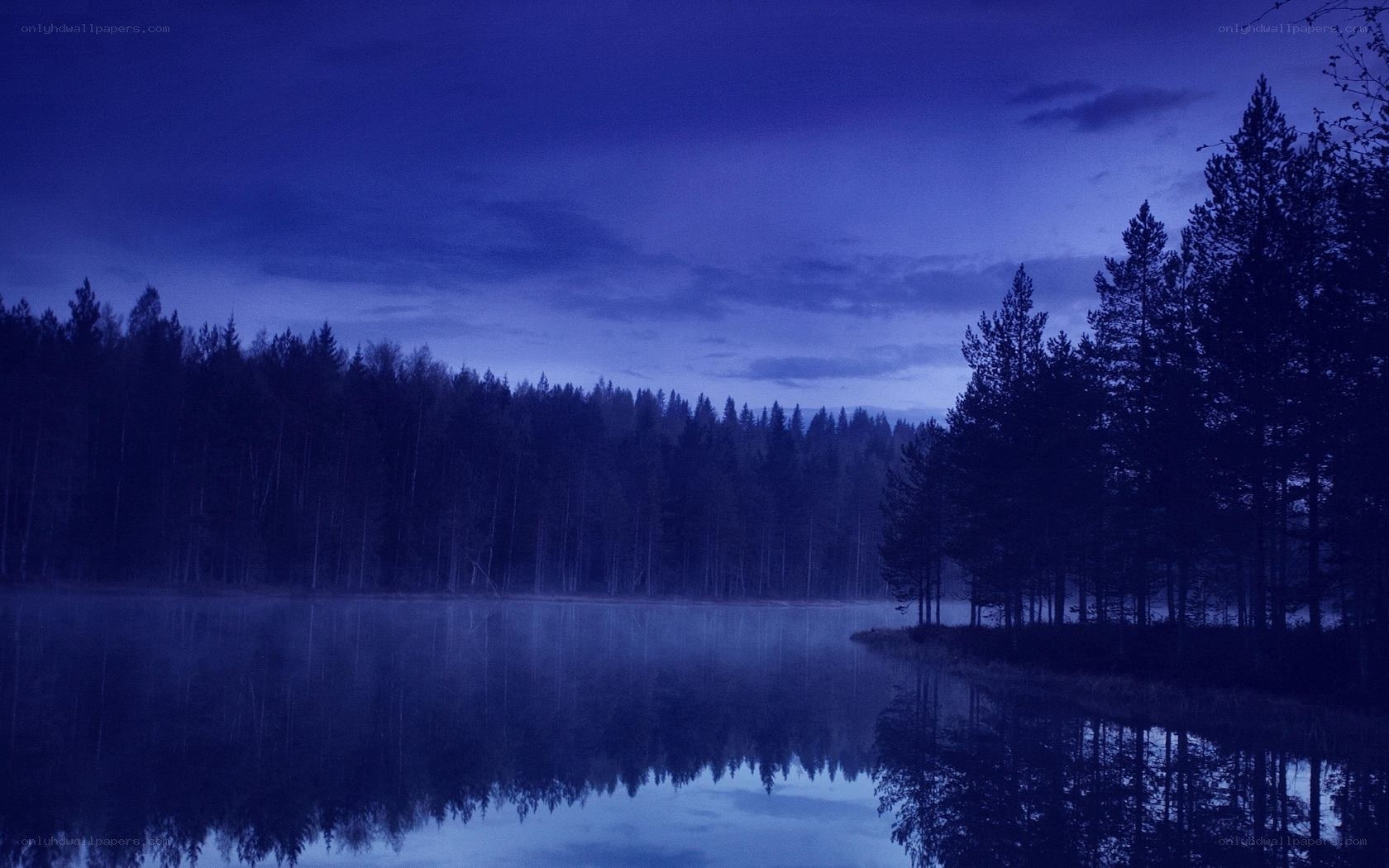 Blue twilight forest lake