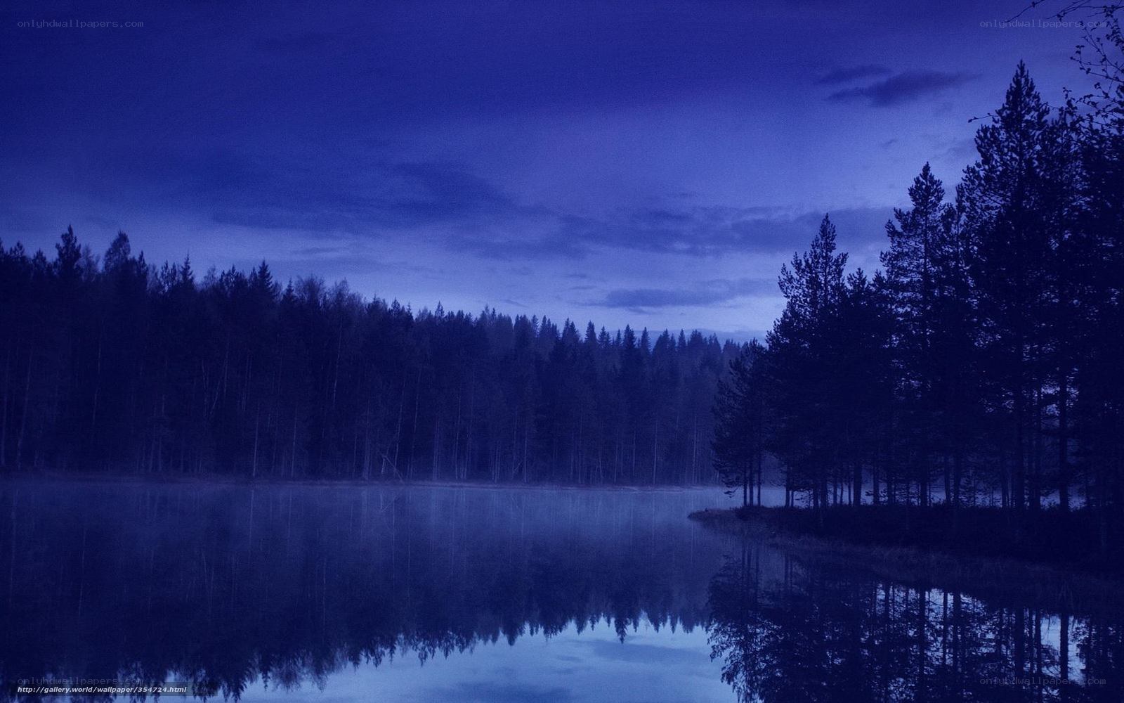 Blue twilight lake forest