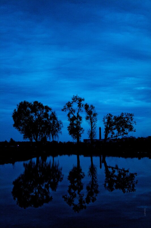 Blue twilight over water