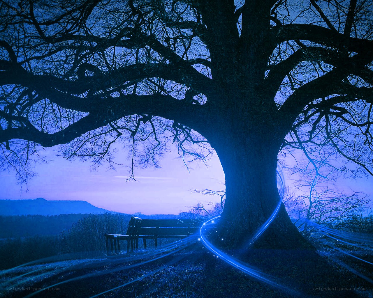 Blue twilight under a large tree