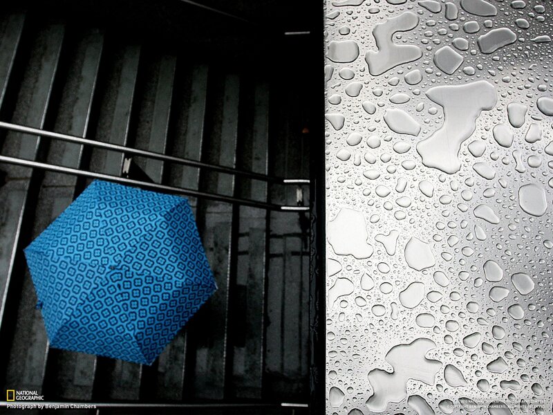 Blue Umbrella in Rain