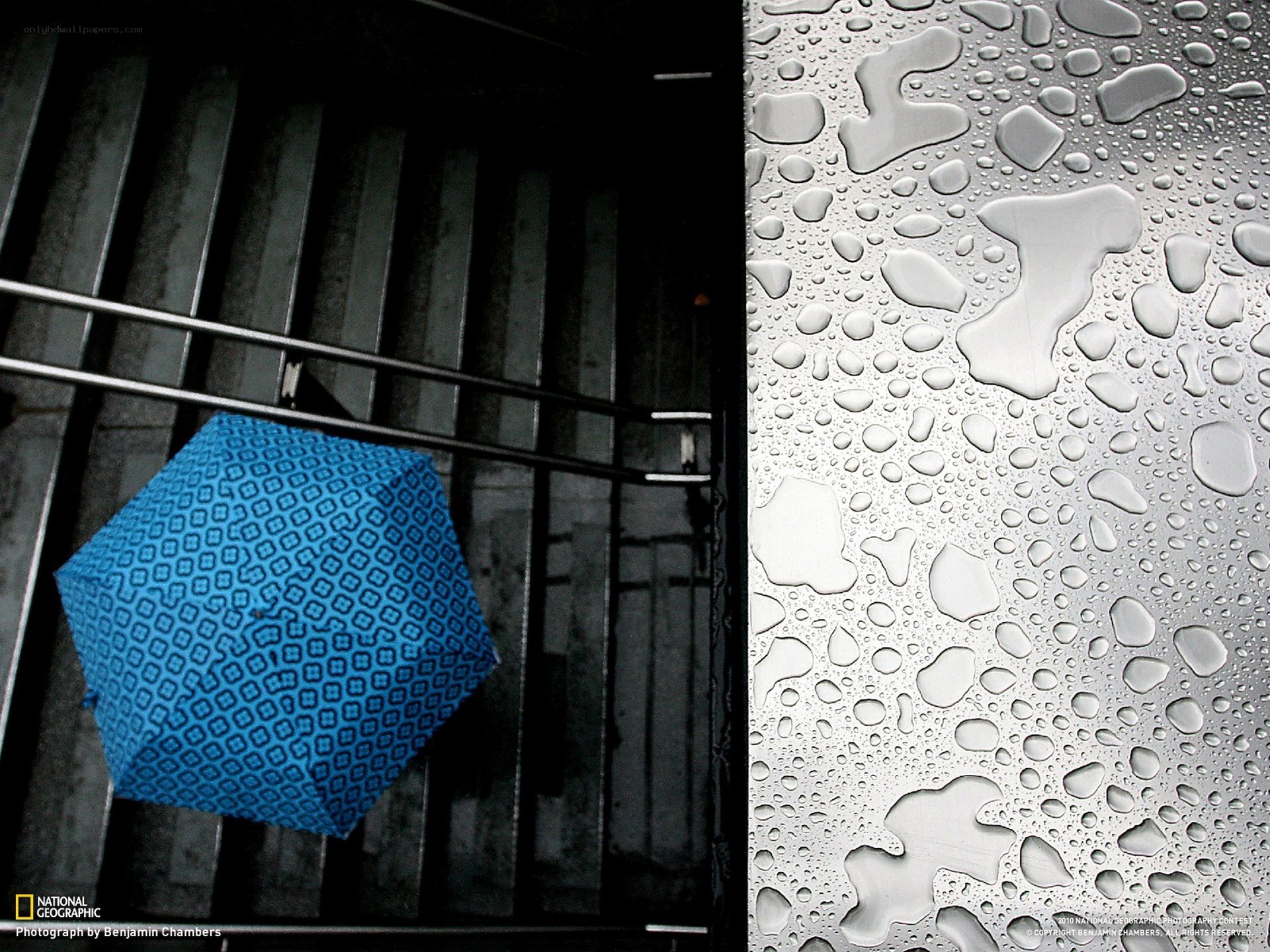 Blue Umbrella in Rain
