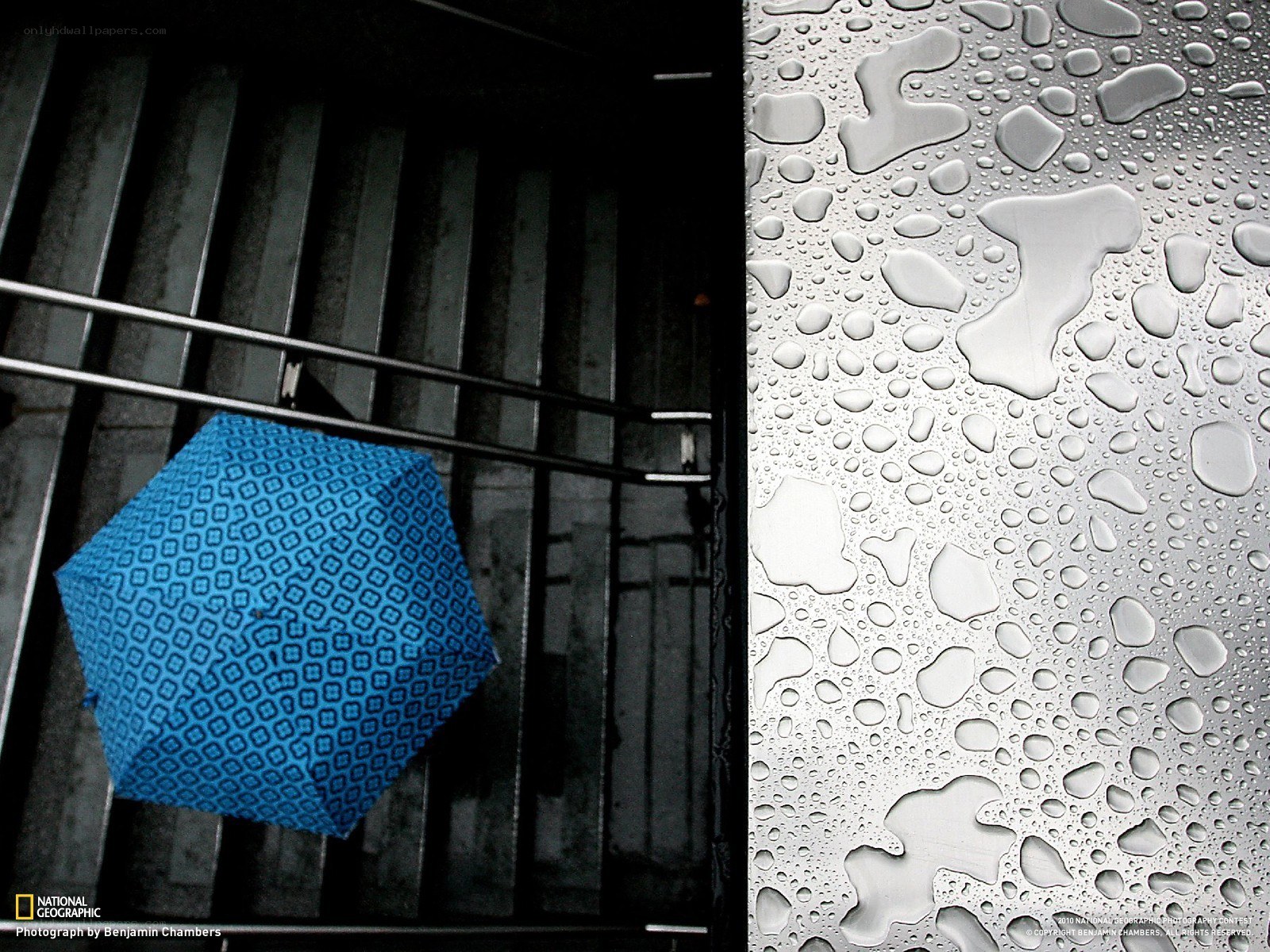 Blue Umbrella in Rain