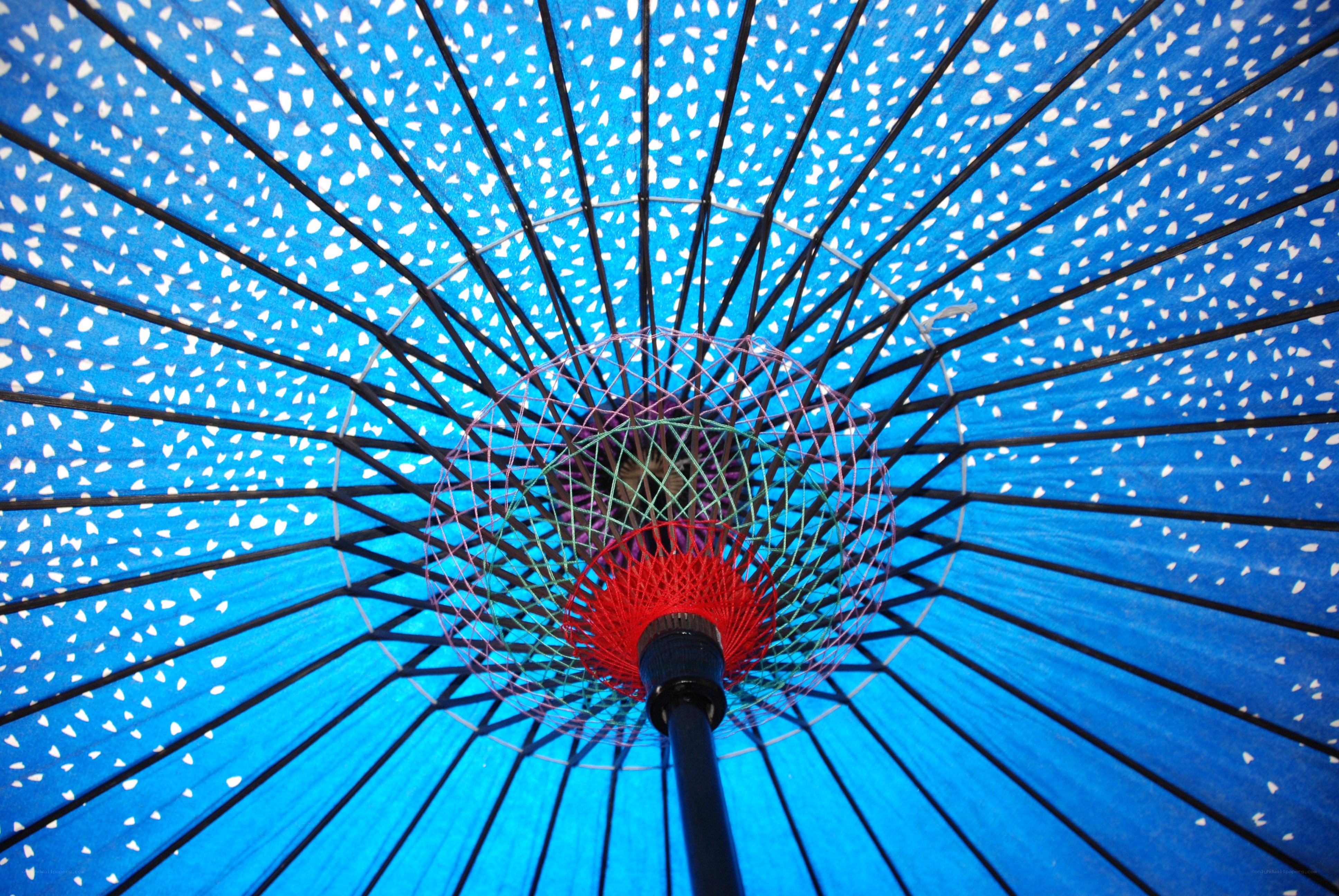 blue umbrella interior view