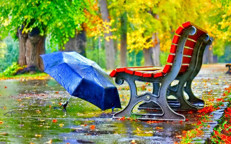 Blue Umbrella on Bench