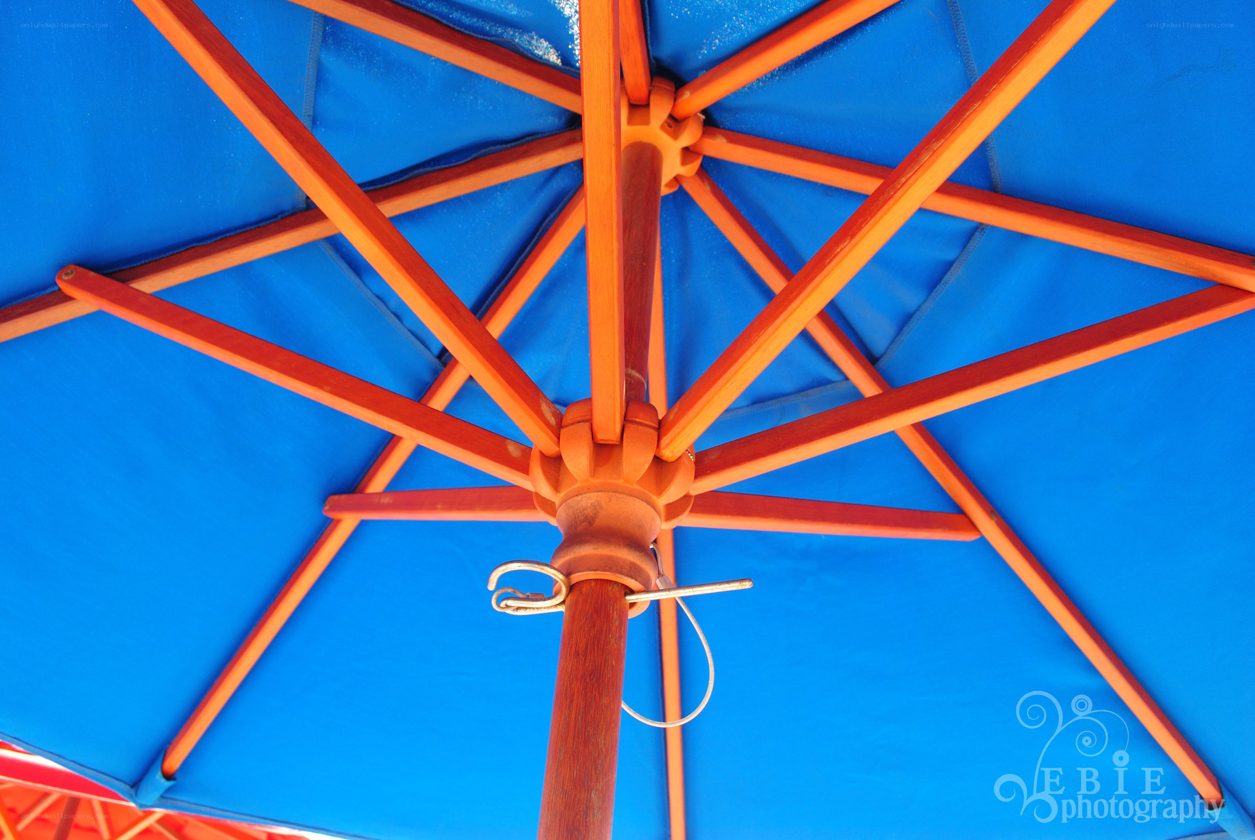 blue umbrella underside view