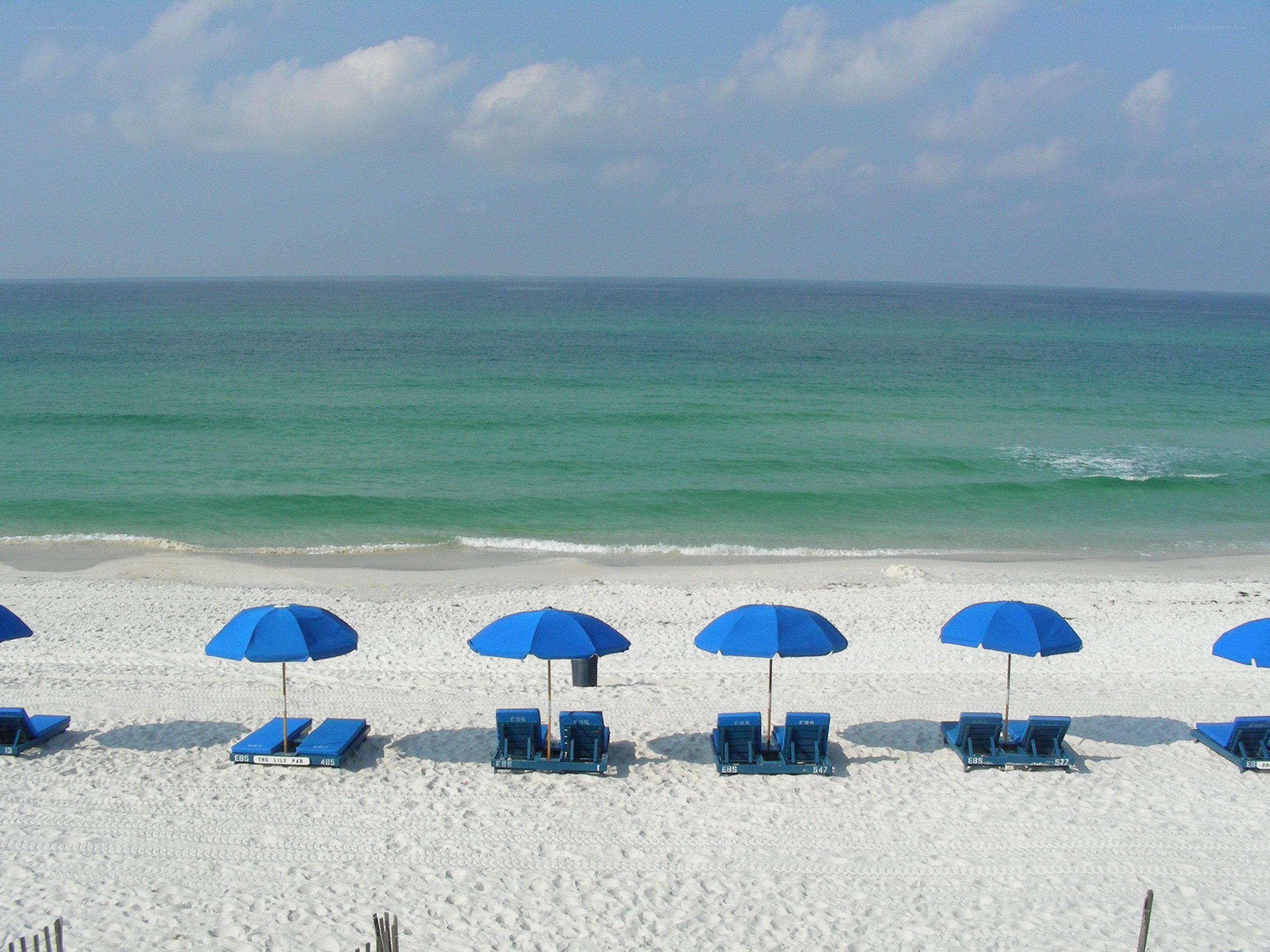 Blue umbrellas on a sandy beach