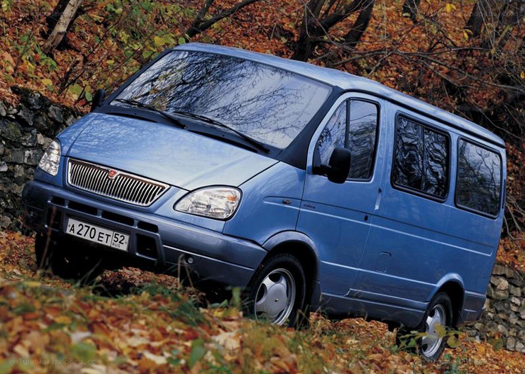 blue van in autumn forest