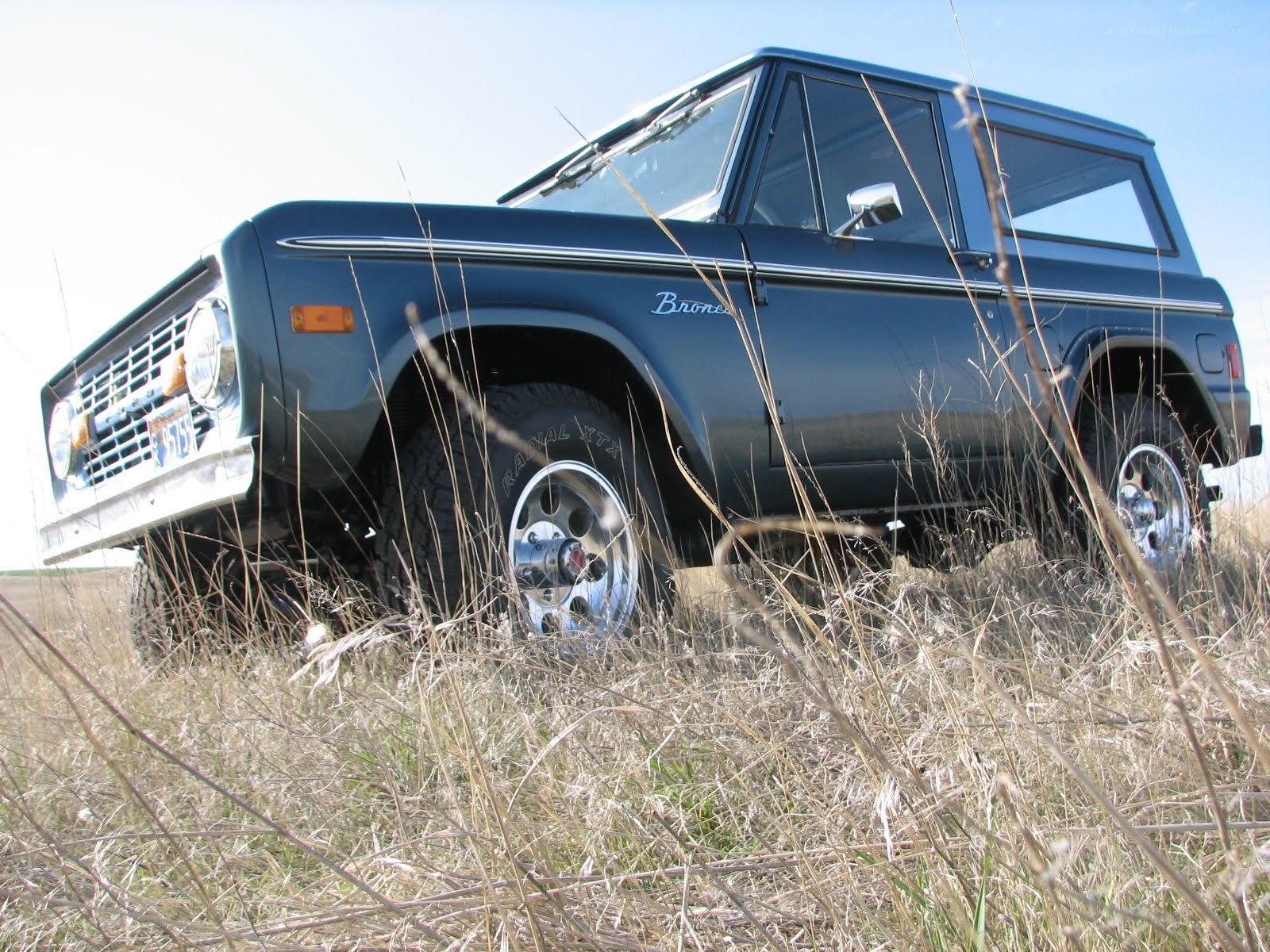 Blue vintage Bronco in grass