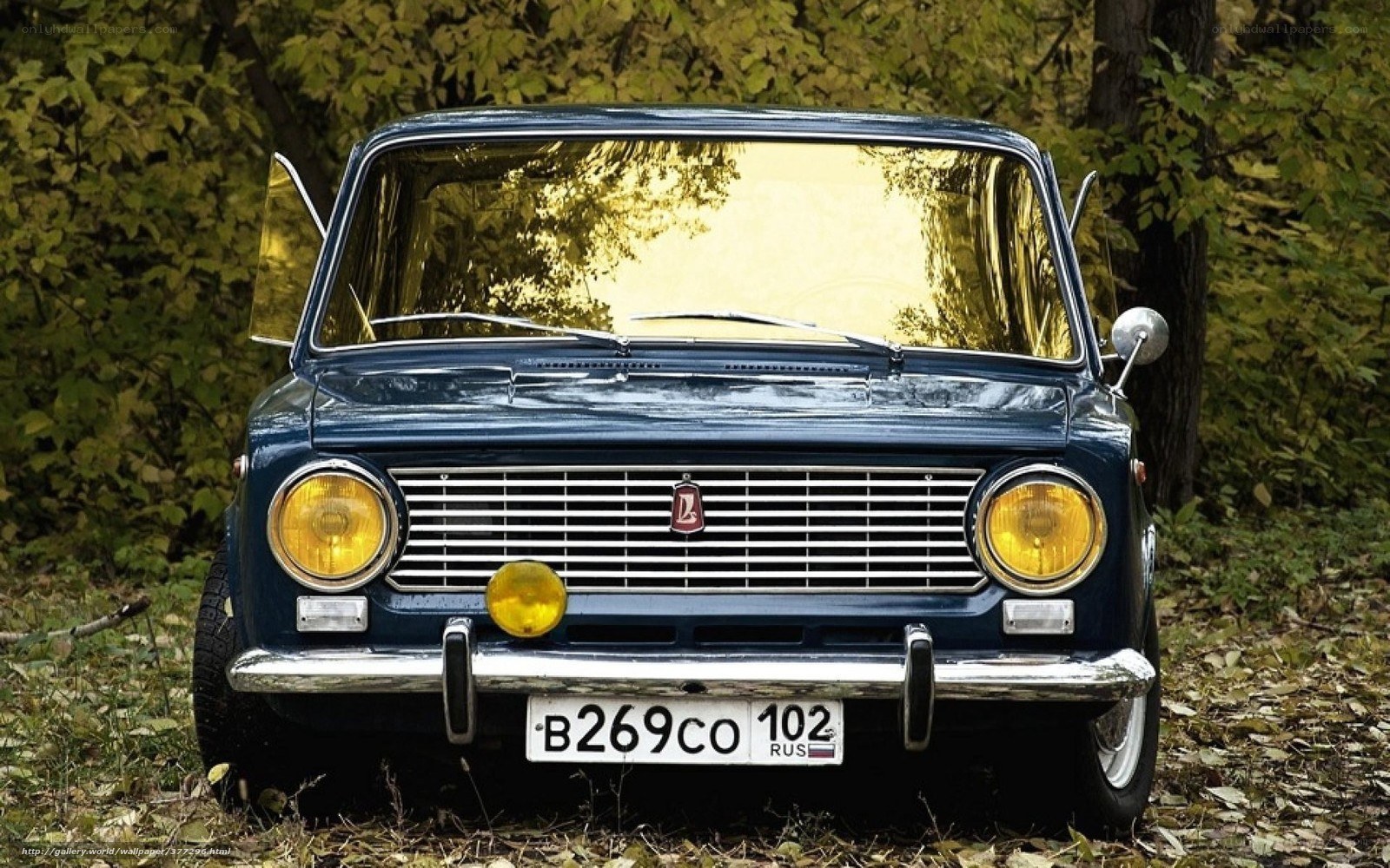 Blue vintage car in forest