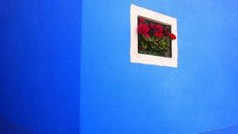 blue wall with flower box