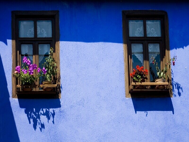 Blue wall with flower boxes