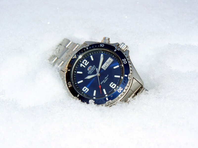 Blue Watch in Snow
