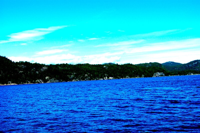 Blue Water and Forested Shore