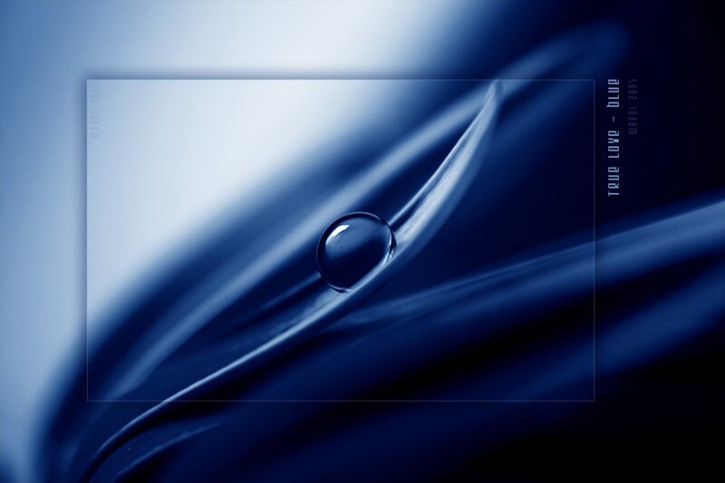 blue water droplet on fabric