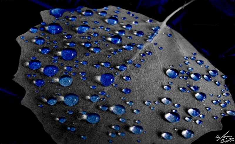 Blue water droplets on a leaf