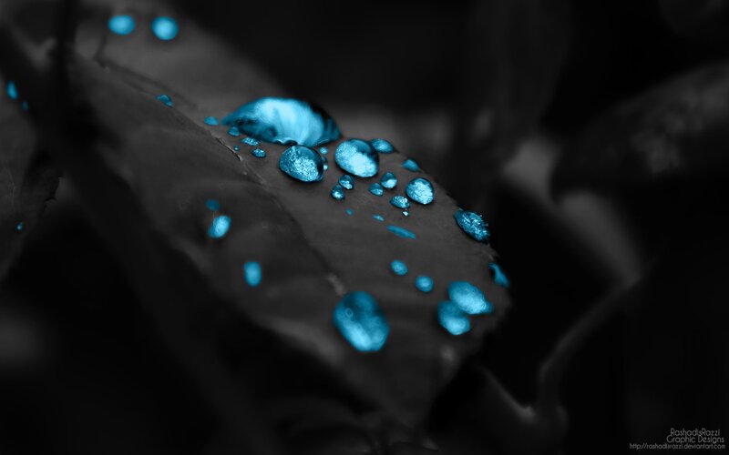 Blue Water Droplets on Leaf — Black, Dramatic, Photograph