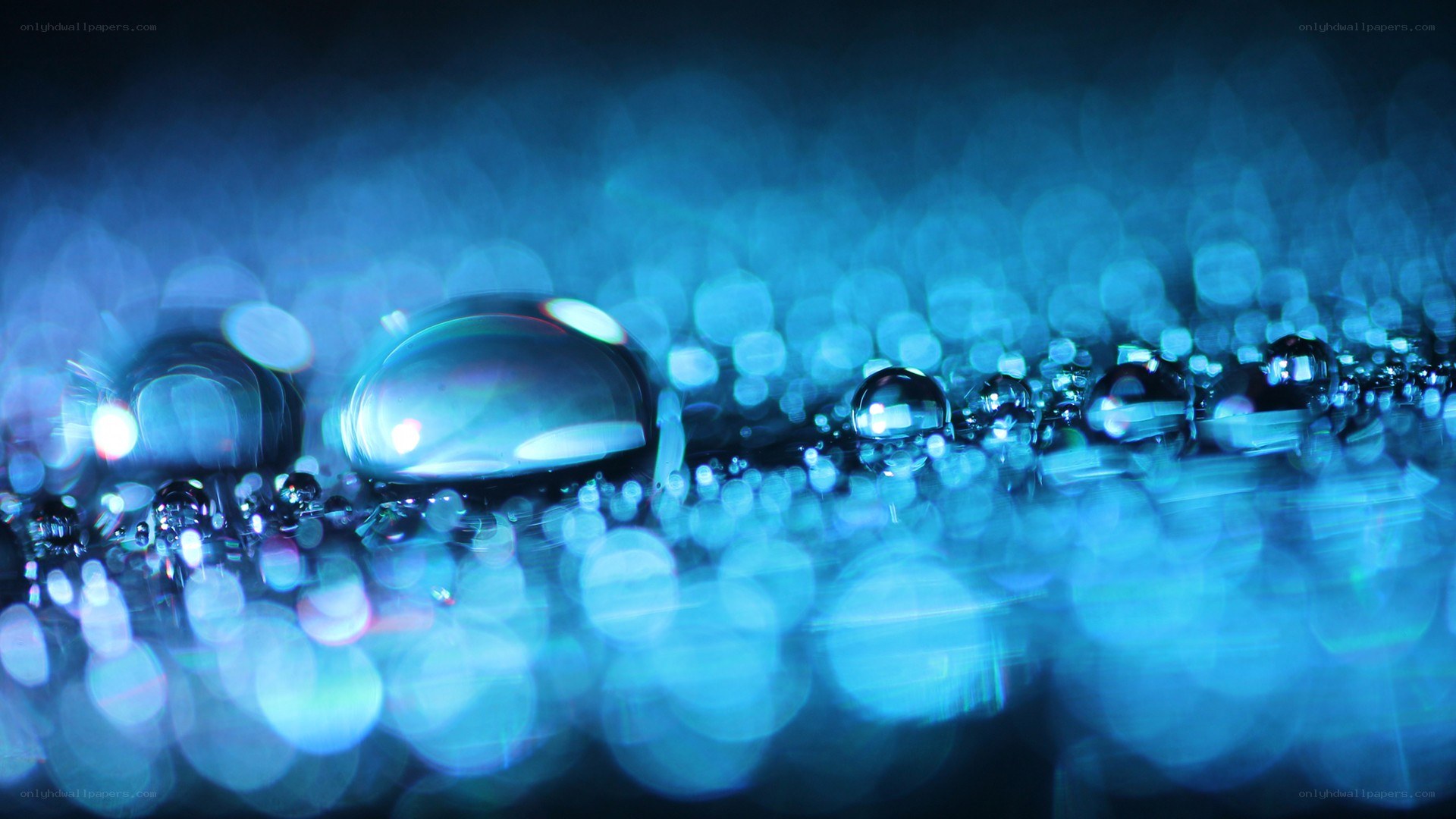 Blue water droplets on surface