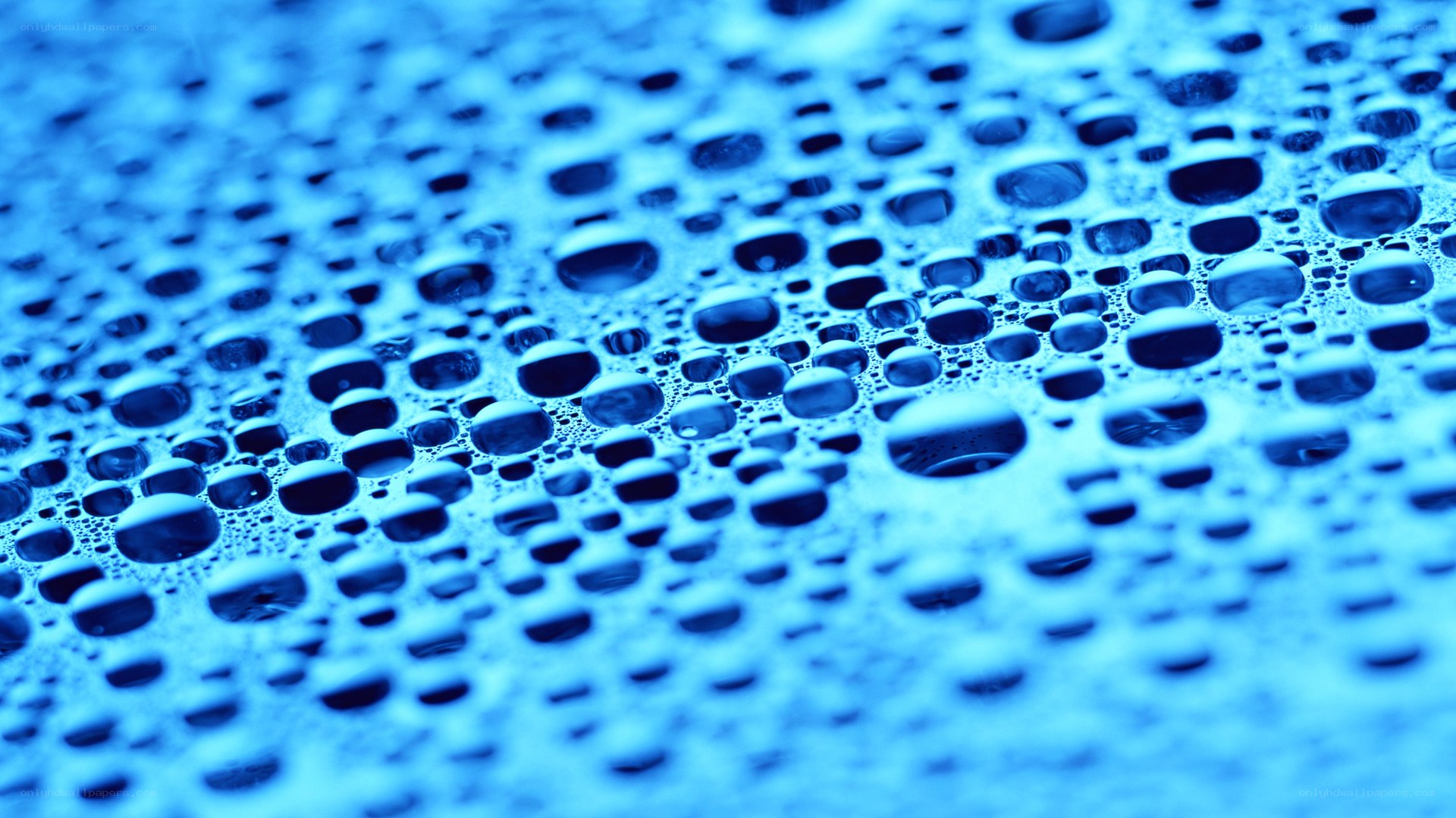 blue water droplets on surface
