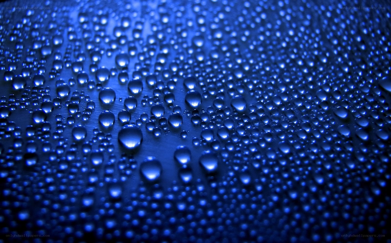 blue water droplets on surface