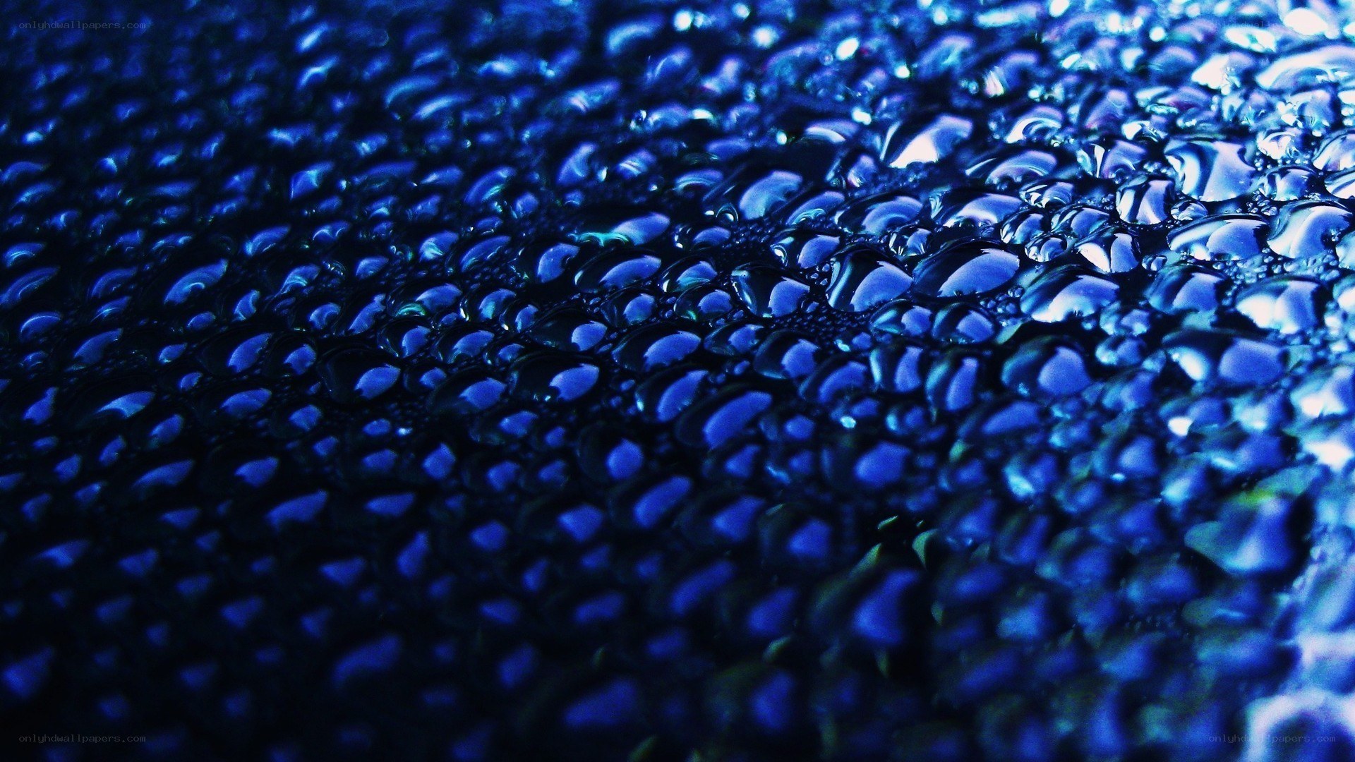 Blue water droplets on surface