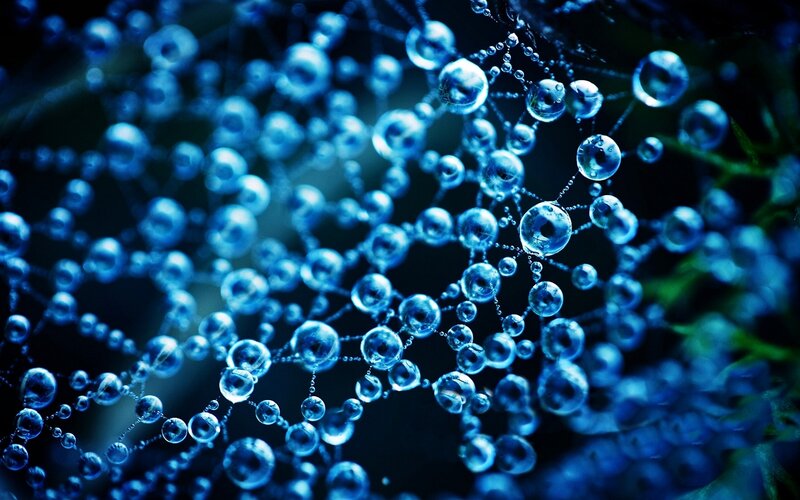 Blue Water Droplets on Web — Dramatic